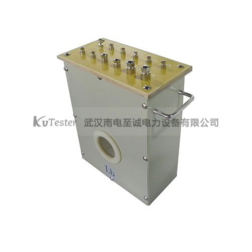 ZC-116标准电流互感器